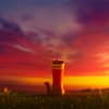 photo_1_step_by_step